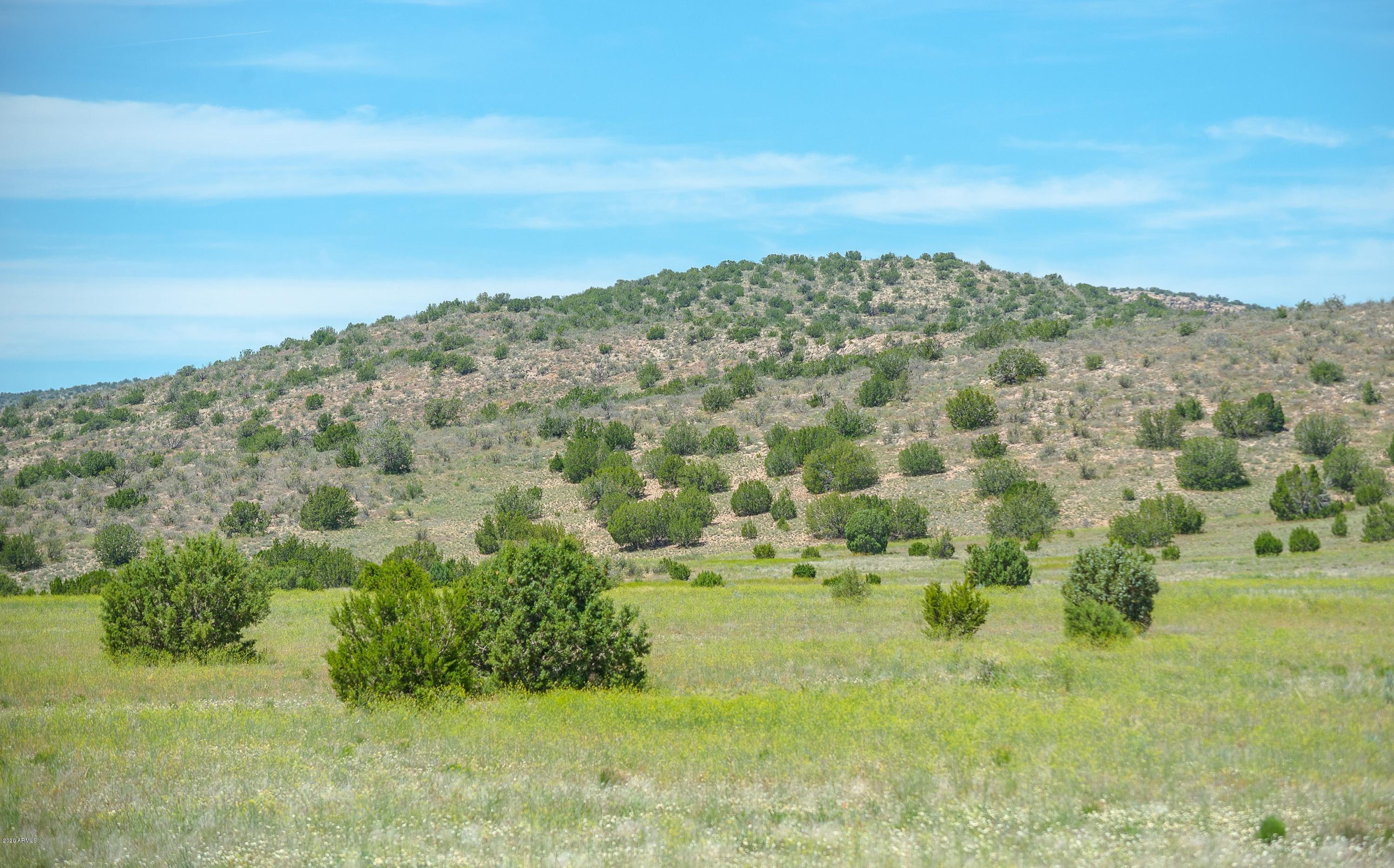431 East Ahonen Road Paulden, AZ 86334 - Photo 25 of 32 025_View from Home