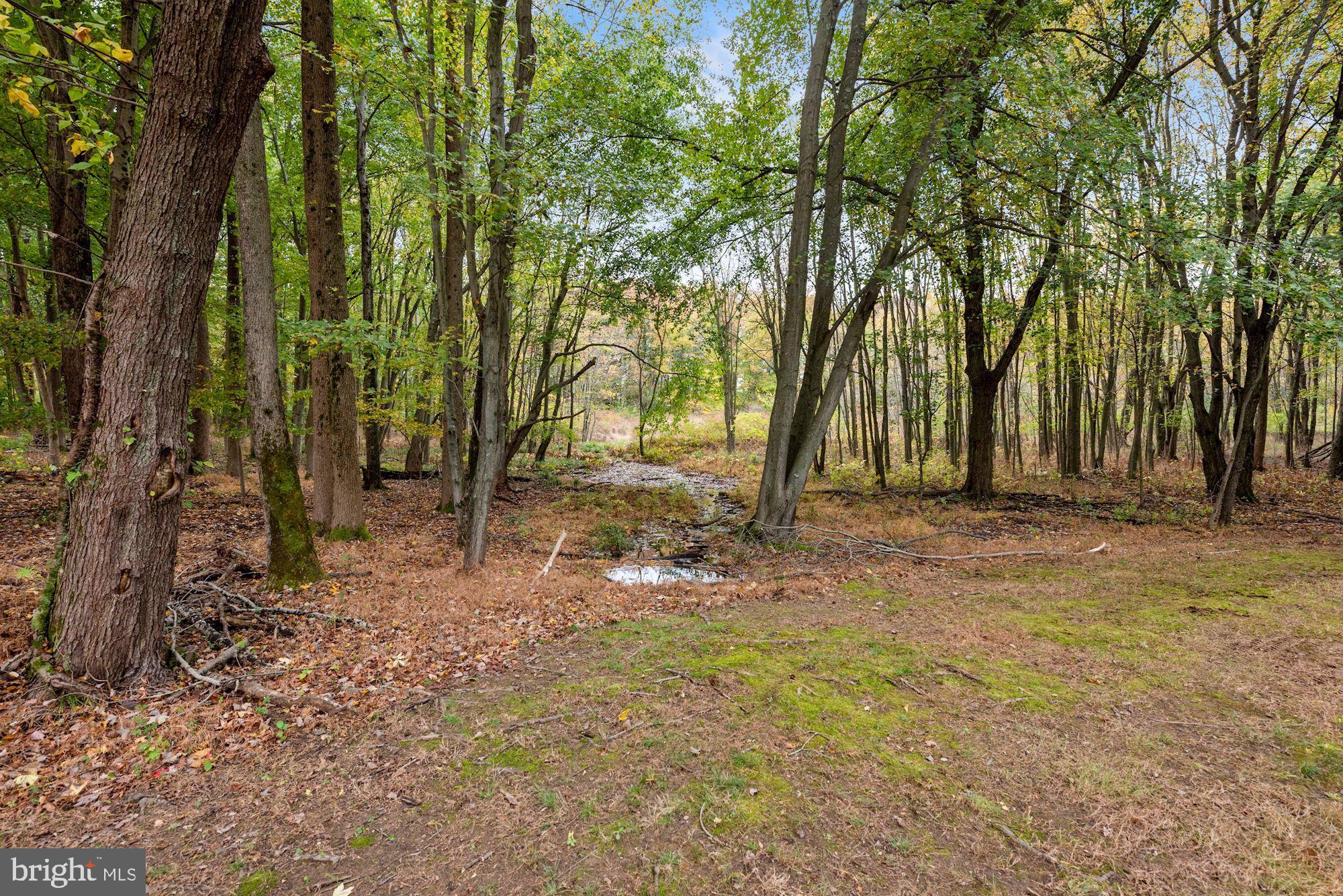 7 Deer Rest Road Moorestown, NJ 08057 - Photo 17 of 37