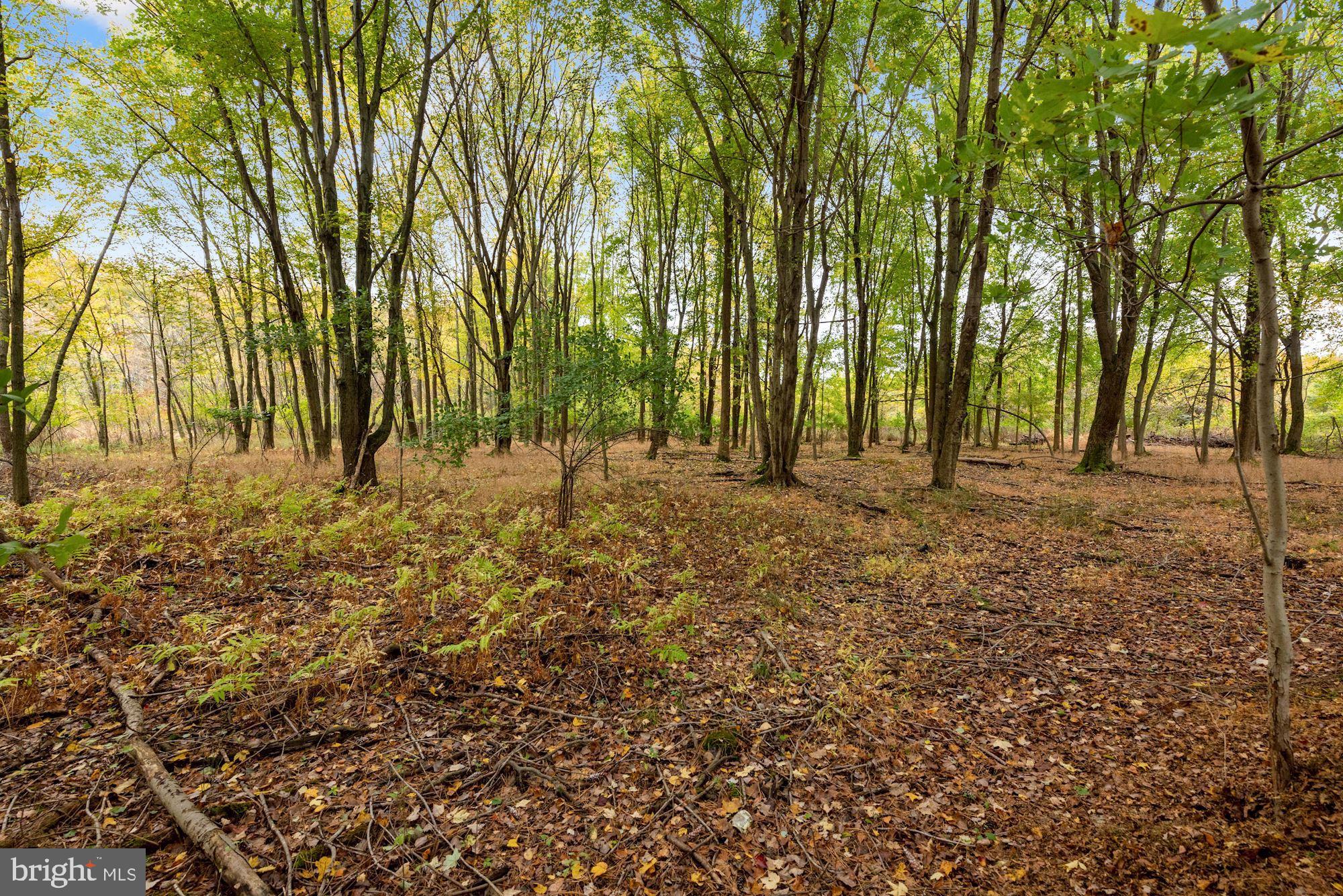 7 Deer Rest Road Moorestown, NJ 08057 - Photo 18 of 37