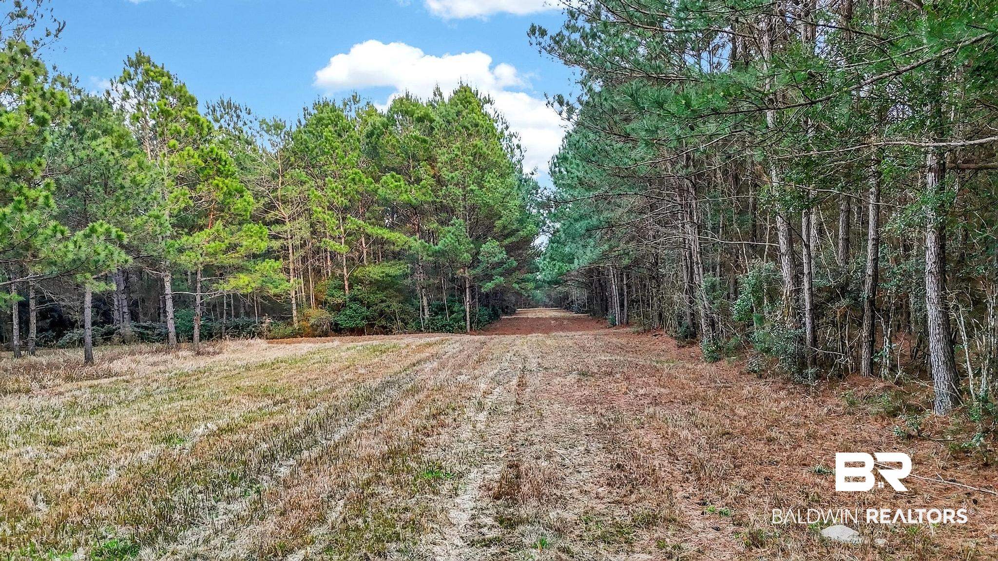 0 Hemley Road Bayou La Batre, AL 36509 - Photo 15 of 28