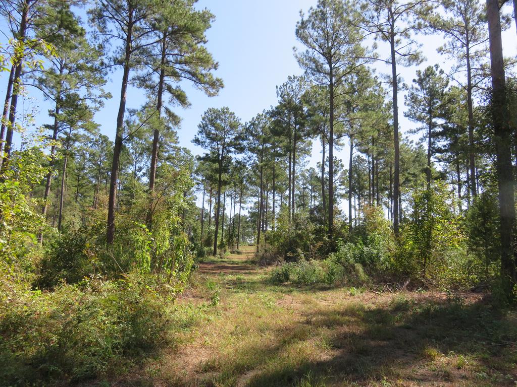 0 An County Road Palestine, TX 75801 - Photo 18 of 18