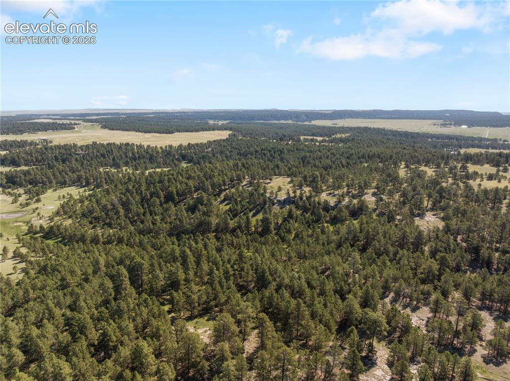 18673 Elbert Road Elbert, CO 80106 - Photo 23 of 29