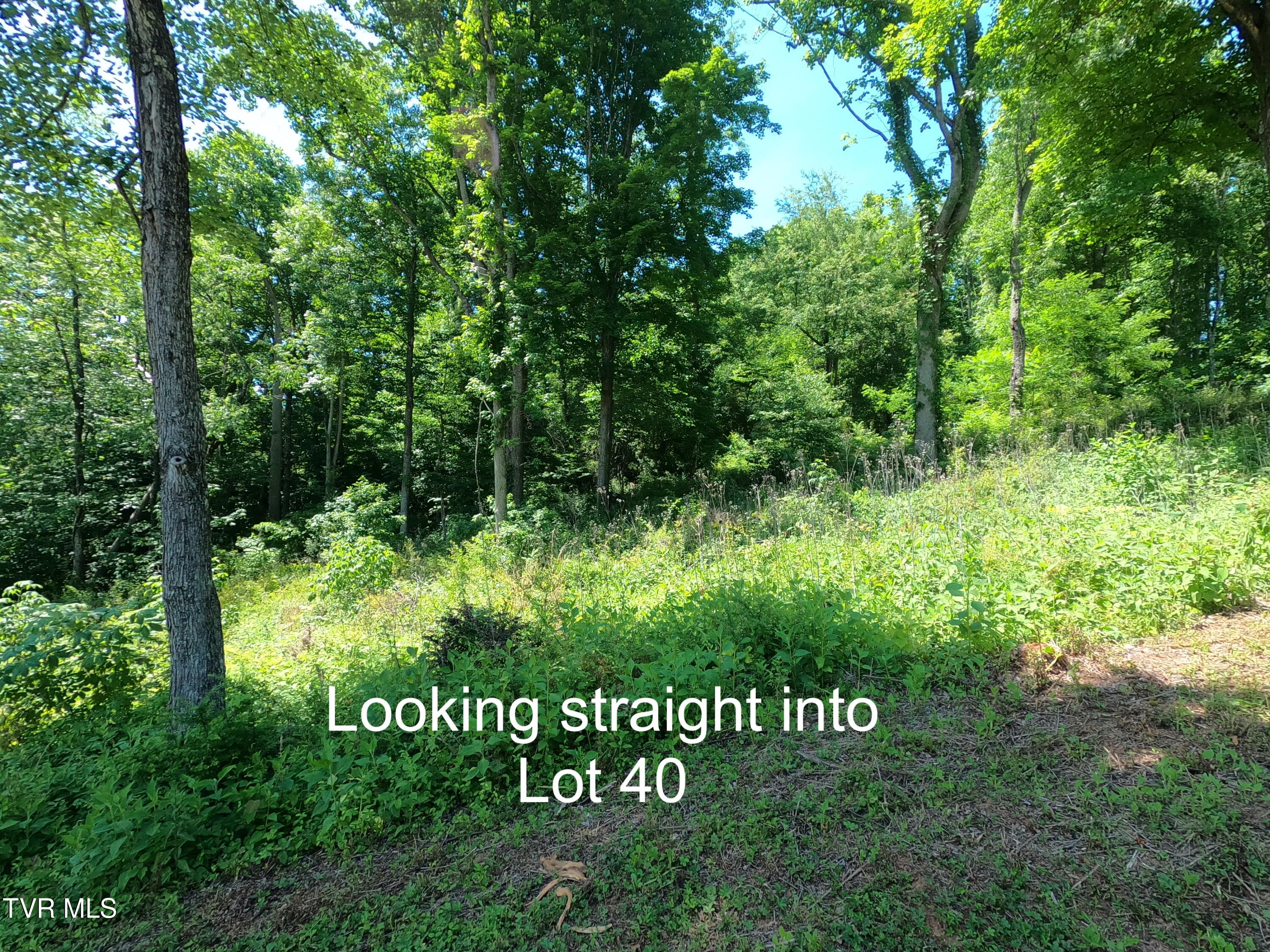 Lot 40 Cowan Town Road, Unit 40 Butler, TN 37640 - Photo 17 of 117 GOPR4017