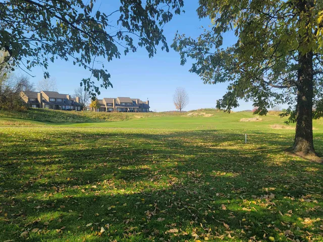 a view of a big yard next to a large trees