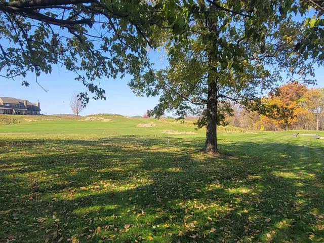 a view of outdoor space and yard