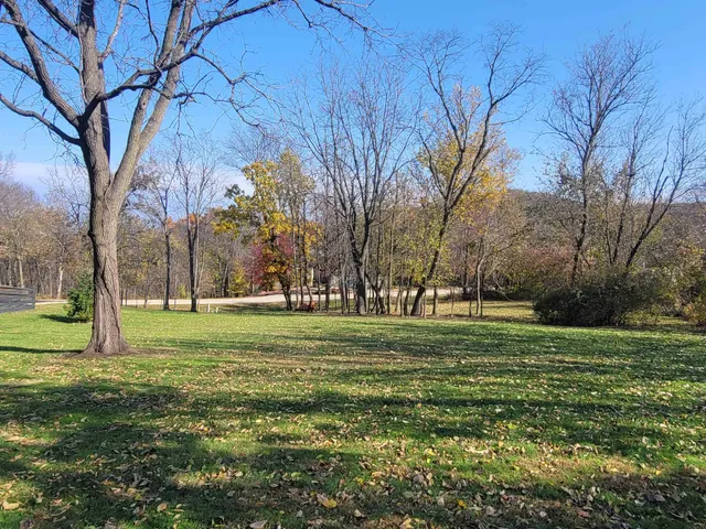 a big yard with trees in the background
