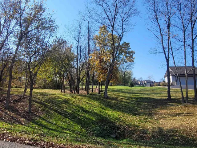 a view of a trees in a yard
