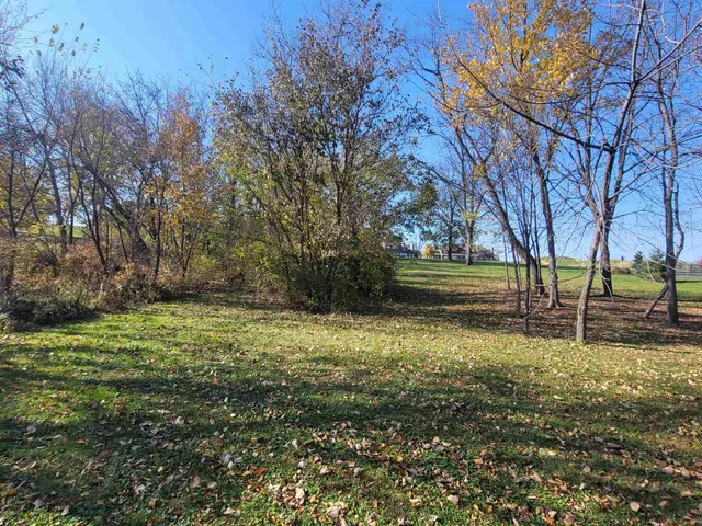 a huge green field with lots of trees
