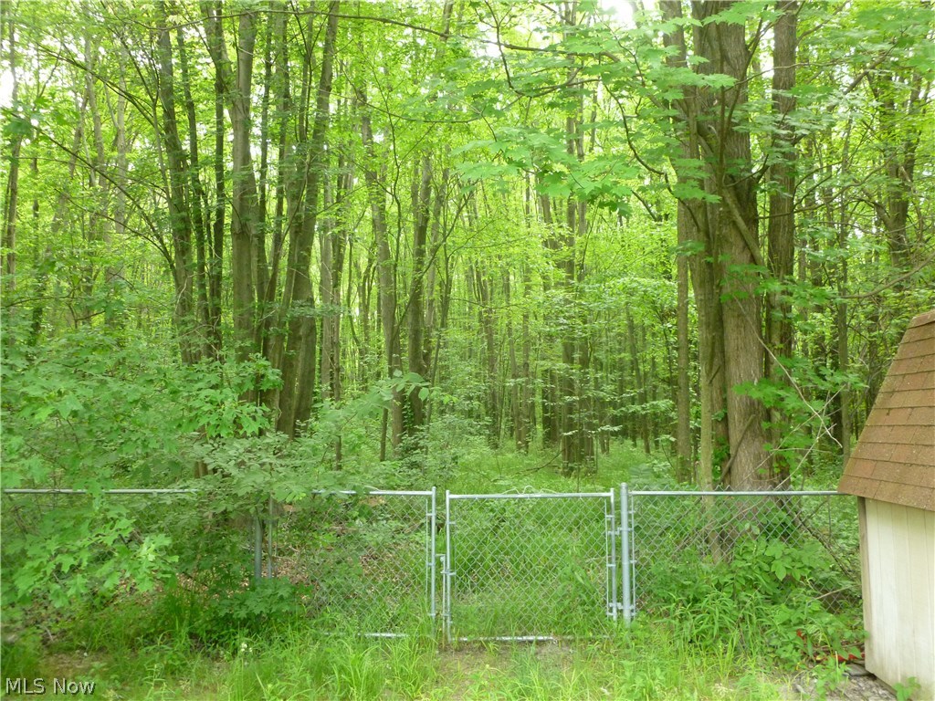 9467 Reed Road North Ridgeville, OH 44039 - Photo 3 of 35 Rear yard woods continues far behind fence