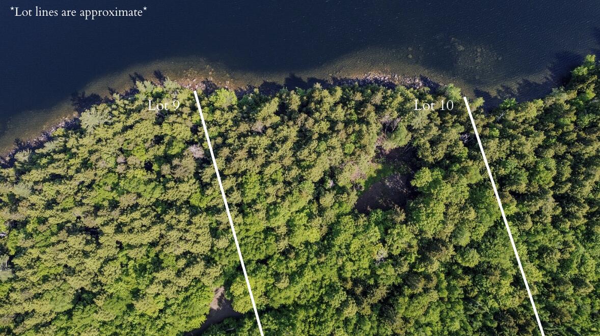 Lot 9 Highland Road Meddybemps, ME 04657 - Photo 3 of 12 LotLines3