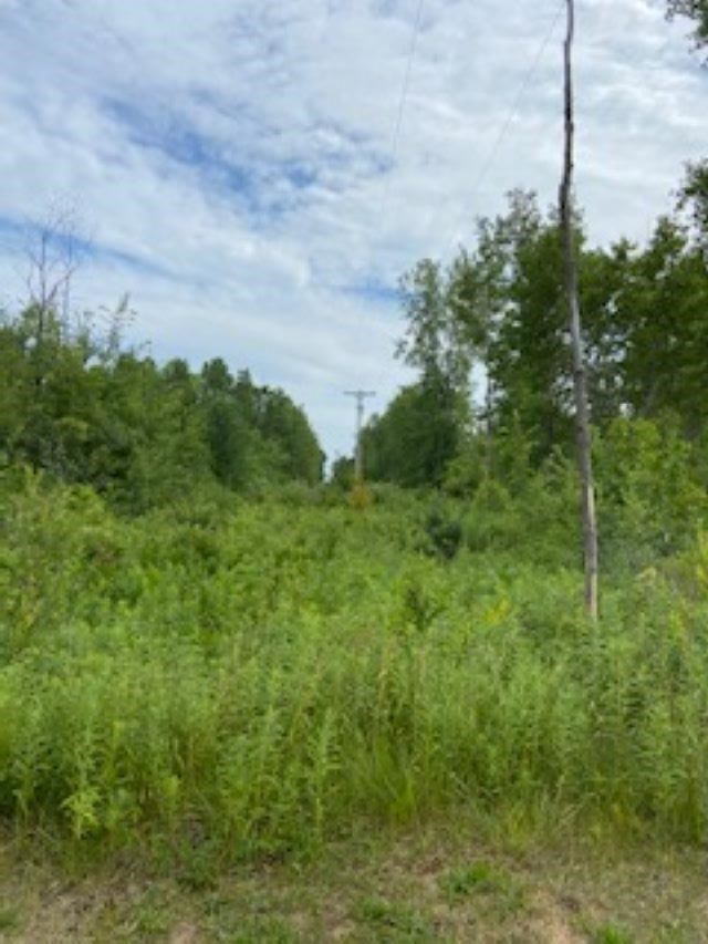 Bard Road Coleman, MI 48618 - Photo 4 of 5