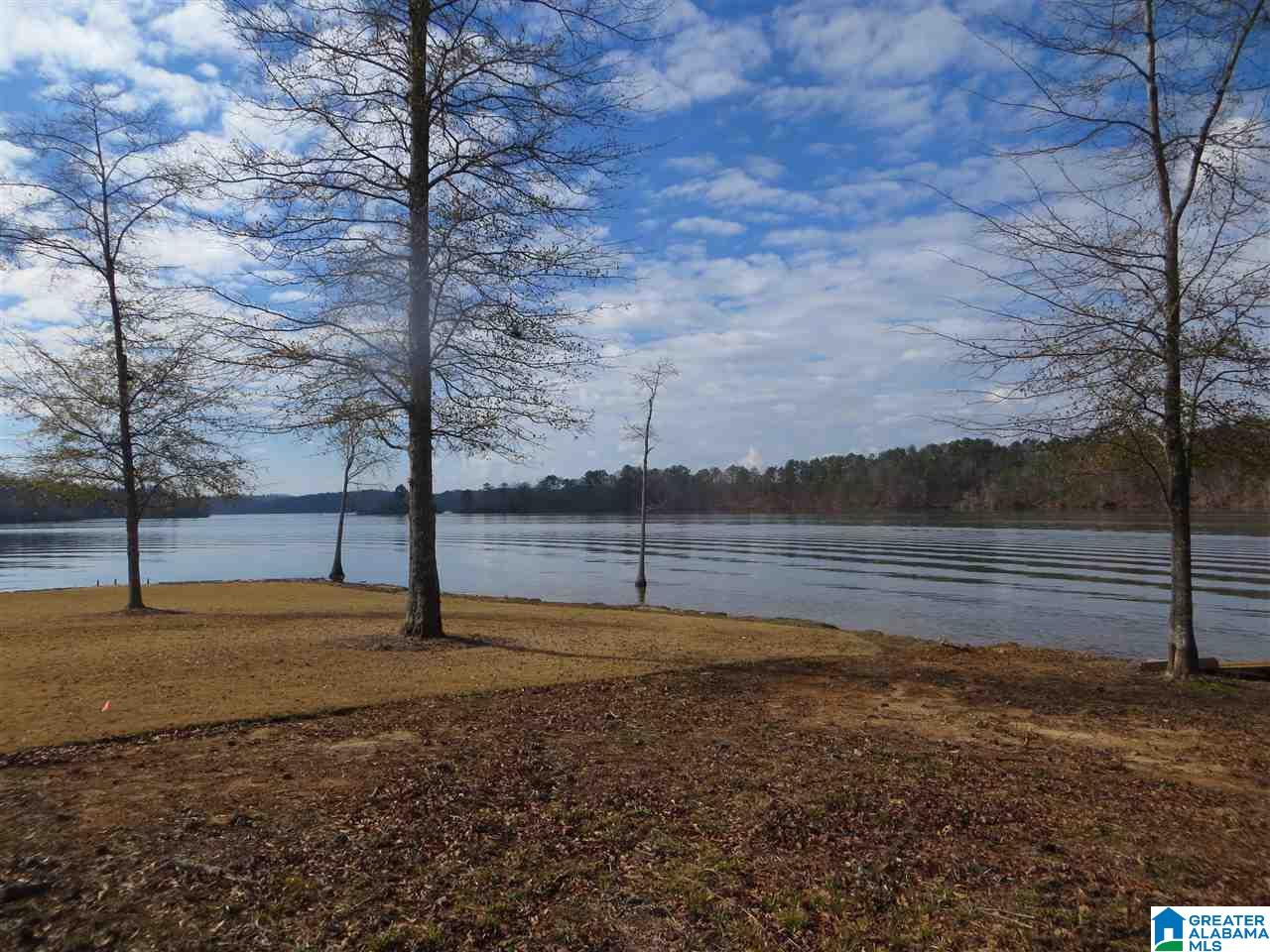 Lot 9 Eagle Mountain Road, Unit 9 Alexander City, AL 35010 - Photo 6 of 13