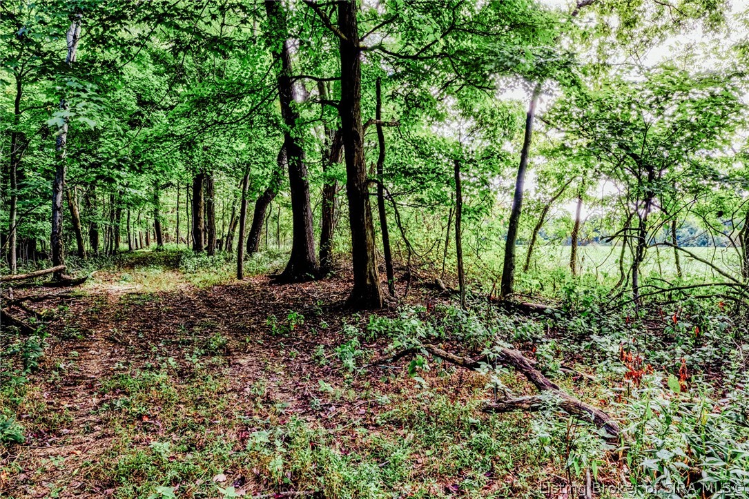 9781 Old Lanesville Road Georgetown, IN 47122 - Photo 12 of 27