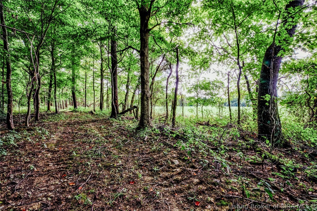 9781 Old Lanesville Road Georgetown, IN 47122 - Photo 13 of 27