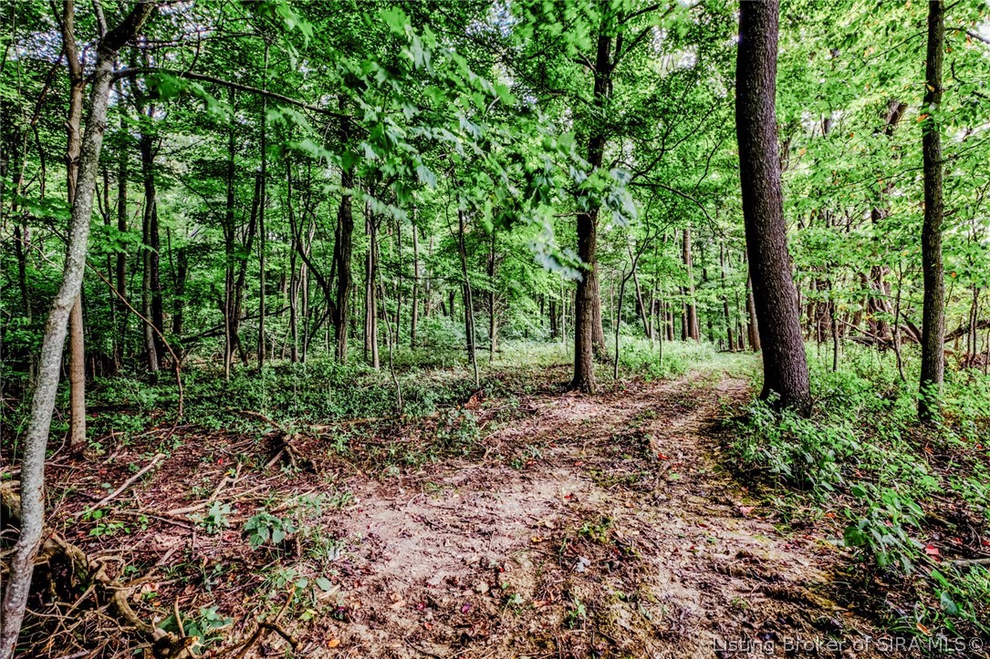 9781 Old Lanesville Road Georgetown, IN 47122 - Photo 14 of 27