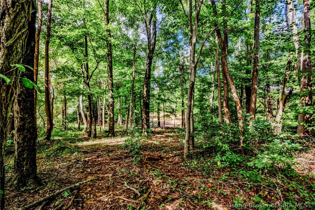 9781 Old Lanesville Road Georgetown, IN 47122 - Photo 16 of 27