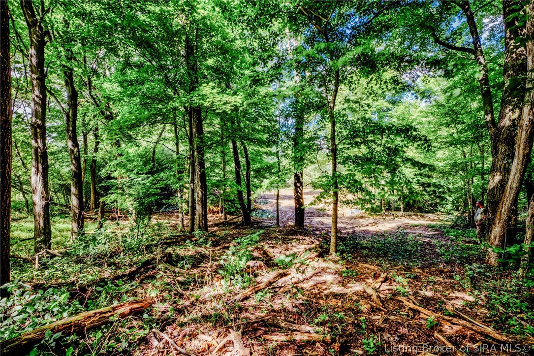 9781 Old Lanesville Road Georgetown, IN 47122 - Photo 17 of 27