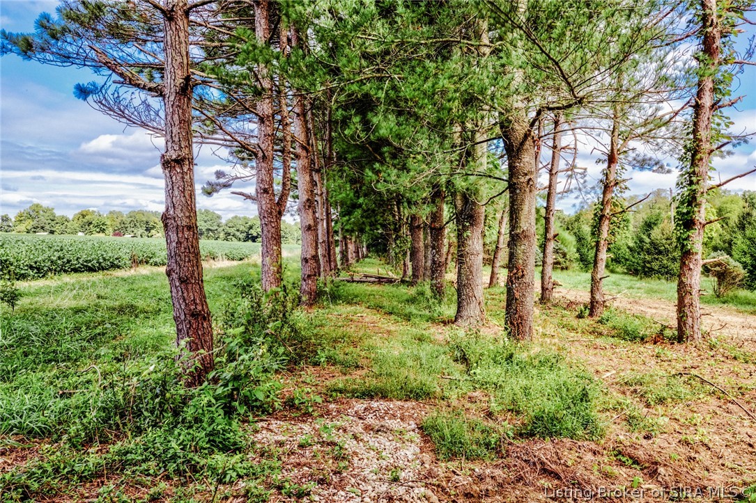 9781 Old Lanesville Road Georgetown, IN 47122 - Photo 24 of 27