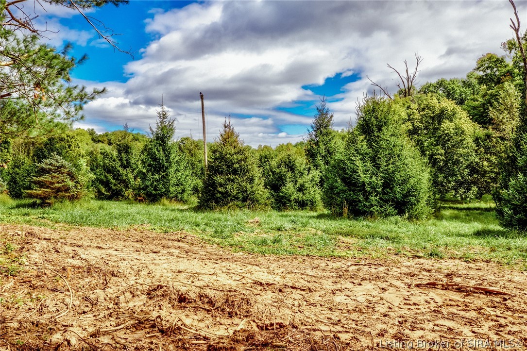 9781 Old Lanesville Road Georgetown, IN 47122 - Photo 26 of 27