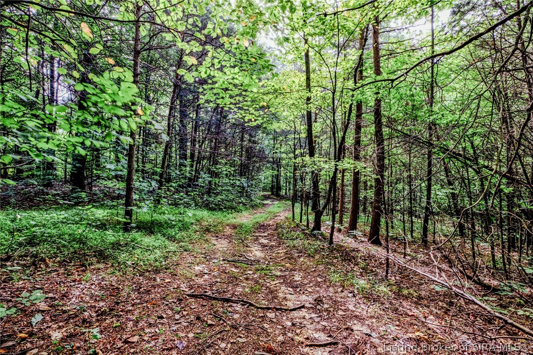 9781 Old Lanesville Road Georgetown, IN 47122 - Photo 6 of 27