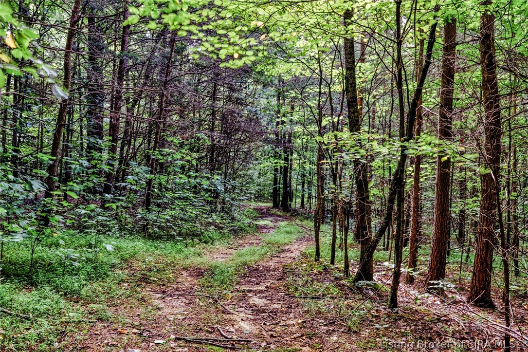 9781 Old Lanesville Road Georgetown, IN 47122 - Photo 7 of 27