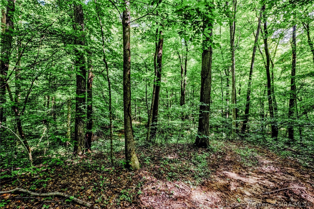 9781 Old Lanesville Road Georgetown, IN 47122 - Photo 8 of 27