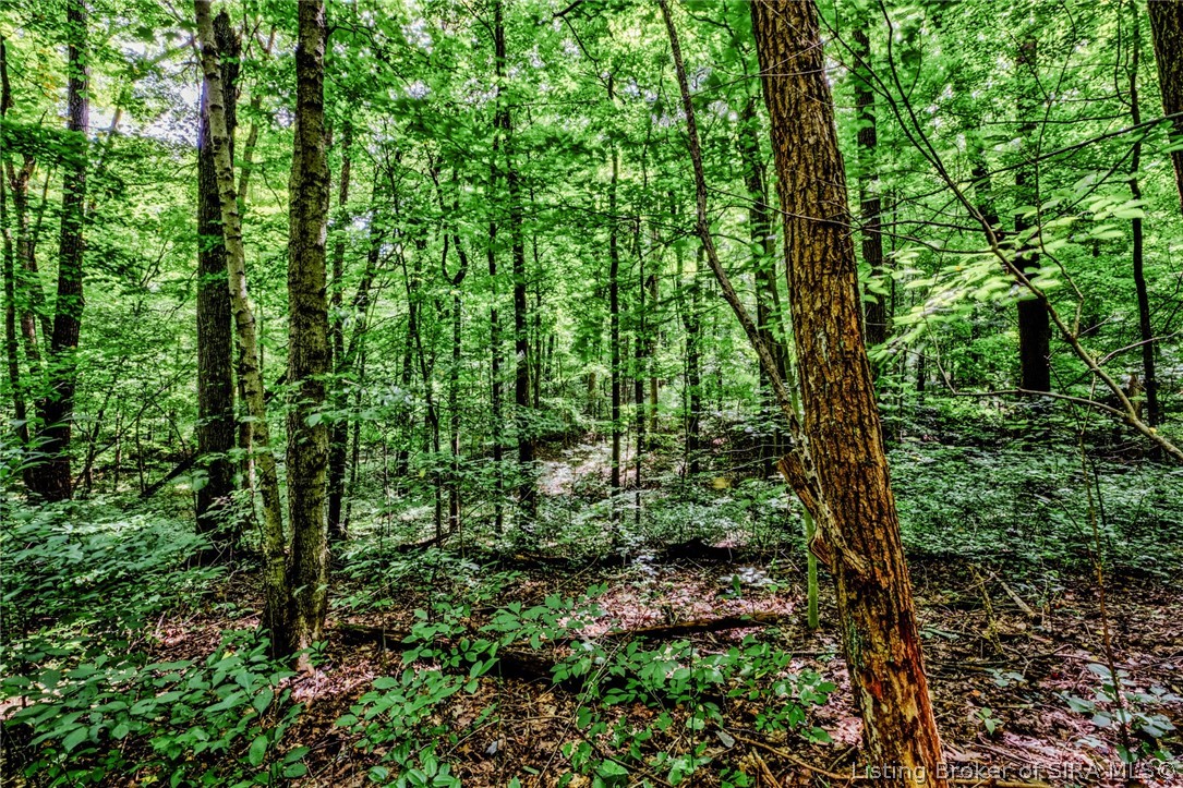 9781 Old Lanesville Road Georgetown, IN 47122 - Photo 9 of 27