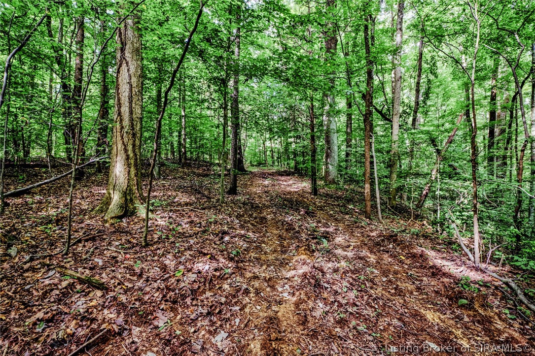 9781 Old Lanesville Road Georgetown, IN 47122 - Photo 10 of 27