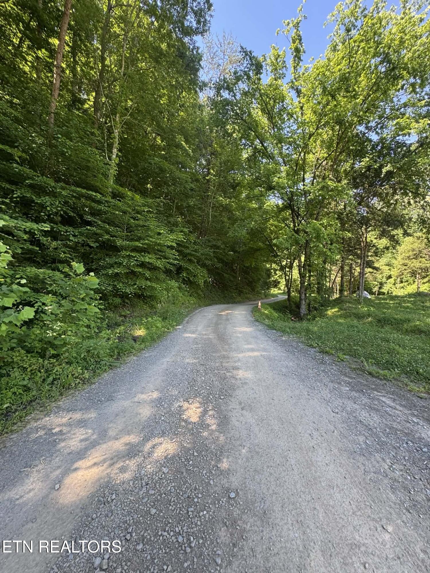 Tower Road Tazewell, TN 37879 - Photo 9 of 9 att.1vKGXLfFzrpWUBhTbr3ynXvpZFuMYzKwXC-7
