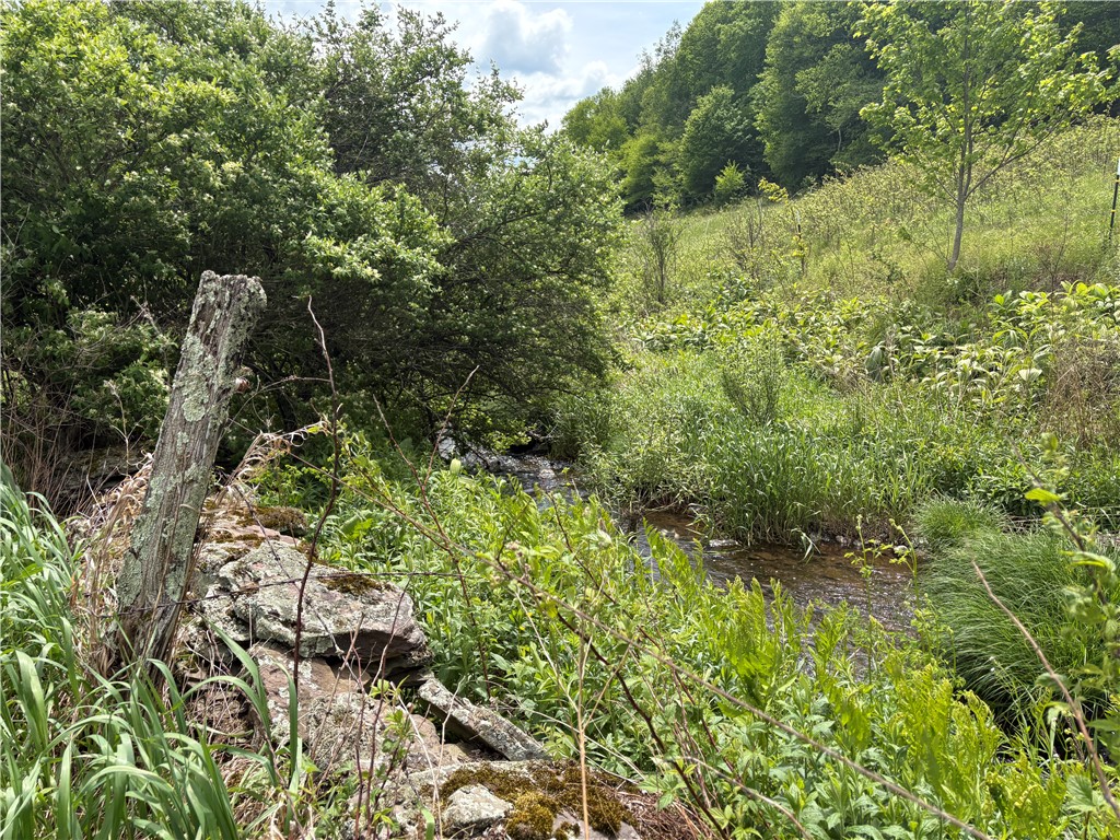 2027 West Platner Brook Road Delhi, NY 13753 - Photo 32 of 36