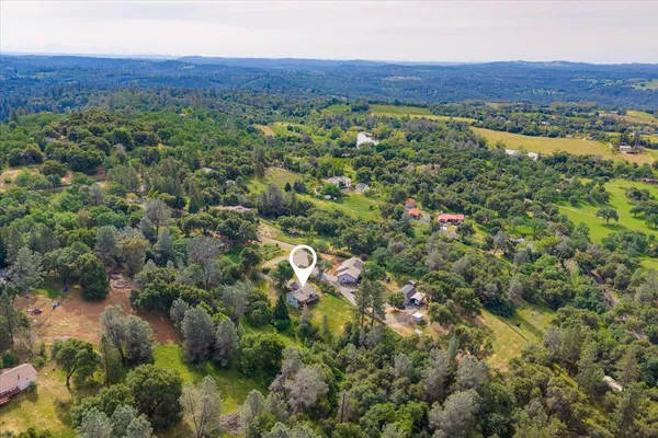 a view of a lush green forest with trees and some houses