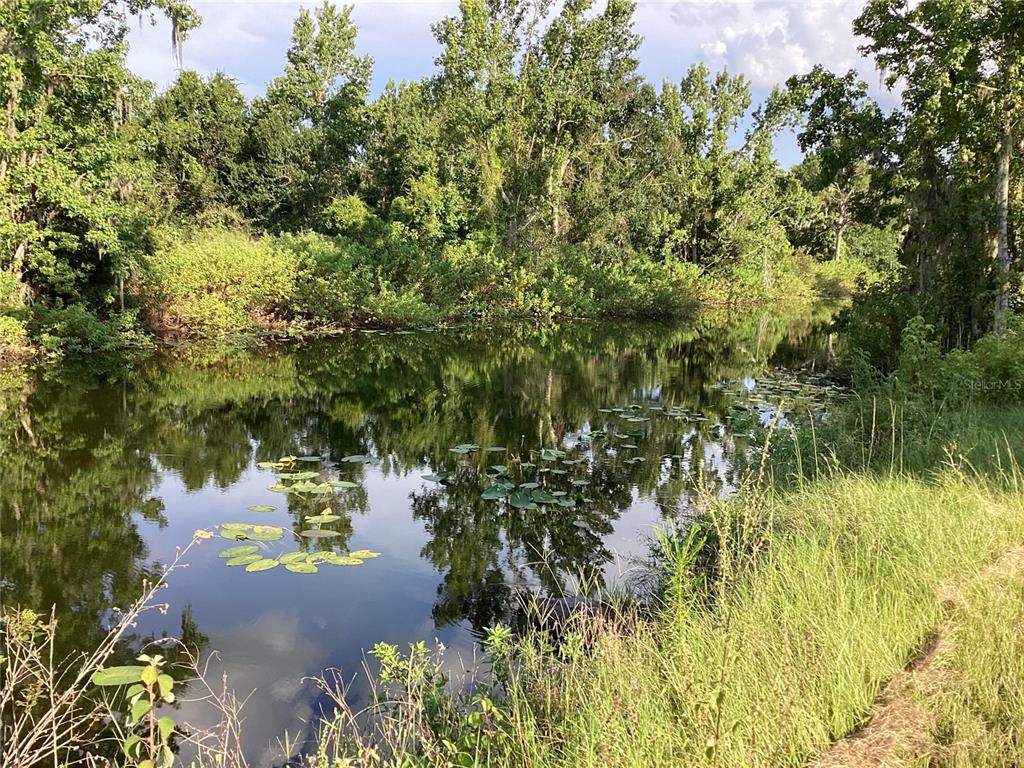 0 Alton Carlton Road Wauchula, FL 33873 - Photo 1 of 1 Gallery Image 1
