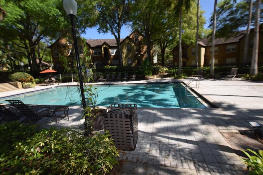 6324 Raleigh Street, Unit 714 Orlando, FL 32835 - Photo 32 of 32 a view of a yard with plants