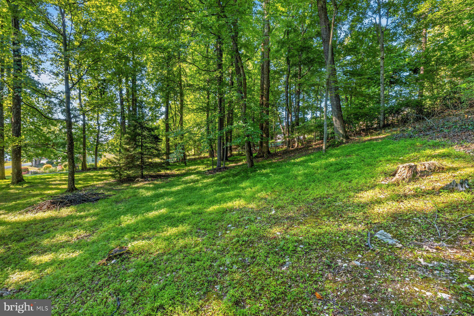 9034 Hamburg Road Frederick, MD 21702 - Photo 45 of 45 Gallery Image 45