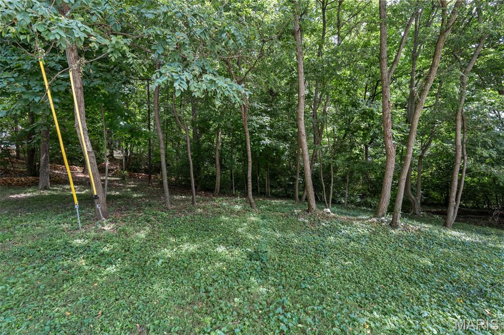 908 Hanna Road Manchester, MO 63021 - Photo 2 of 11