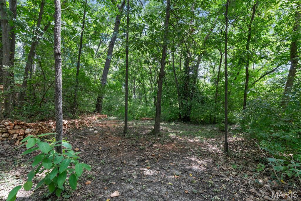 908 Hanna Road Manchester, MO 63021 - Photo 3 of 11