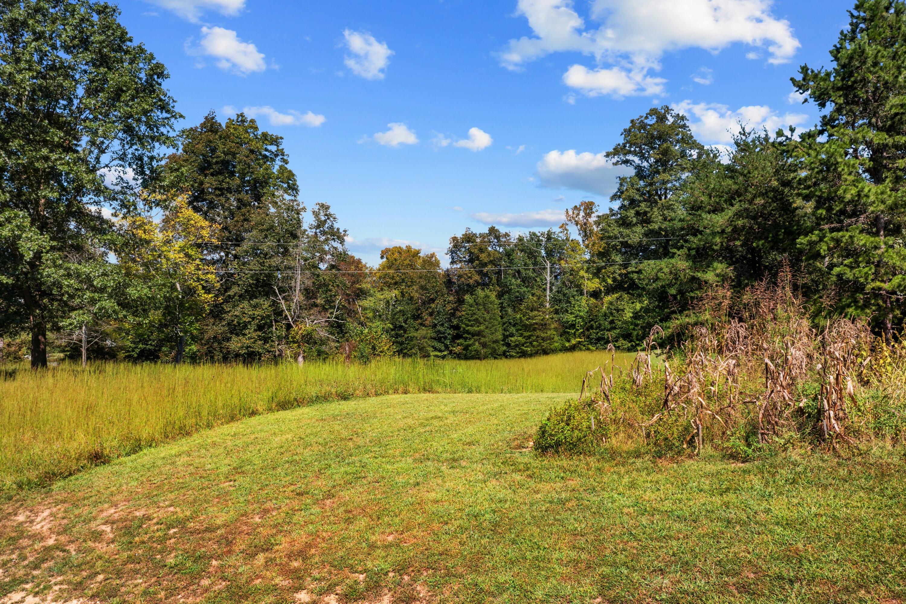 309 Clemon Road Whitesburg, TN 37891 - Photo 65 of 68 EJI_0733.jpg-SMALL