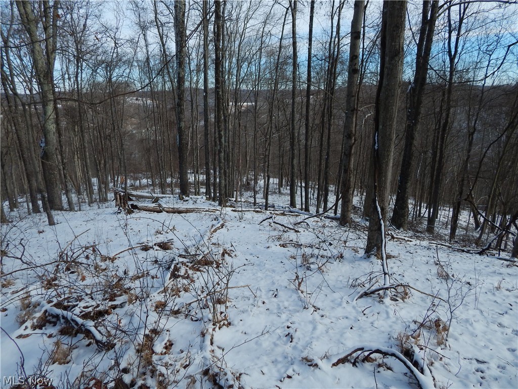 0 Hazelgreen Road Smithville, WV 26178 - Photo 21 of 23