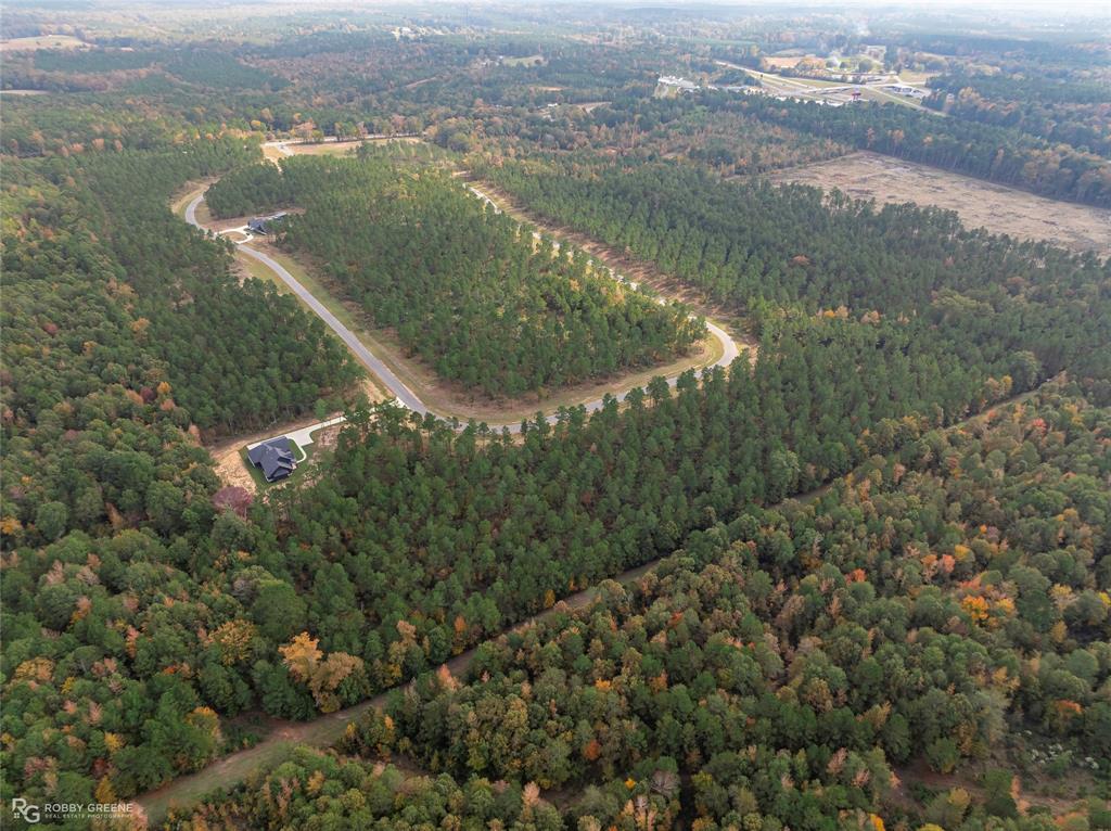 207 Millwood Loop, Unit 4 Minden, LA 71055 - Photo 19 of 20 an aerial view of residential houses with outdoor space and trees