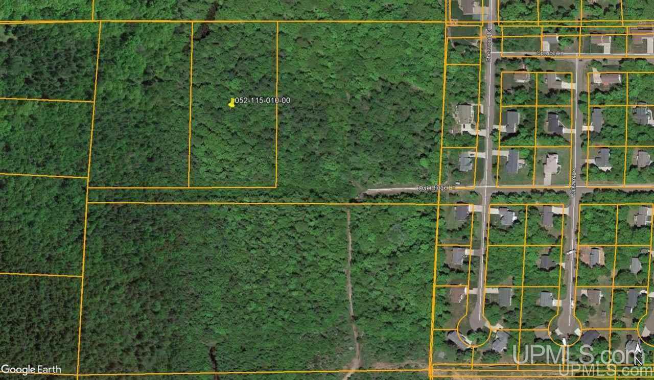 Tbd East Part Of Sec 3 Road Hancock, MI 49931 - Photo 1 of 1