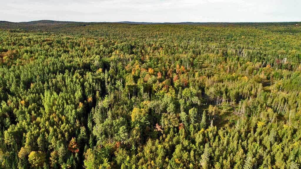 1719 Ludlow Road Houlton, ME 04730 - Photo 43 of 47 me-land-mixed-forest-acreag