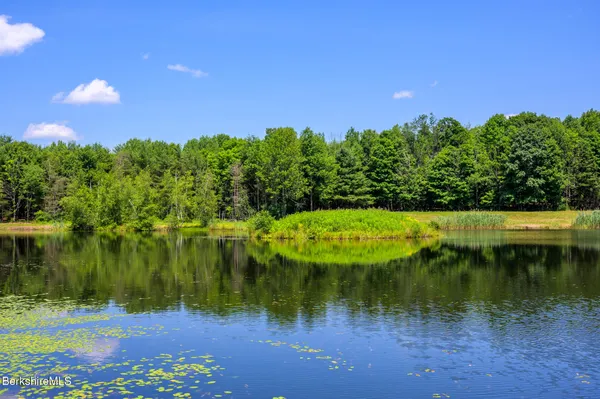 a view of lake with green space