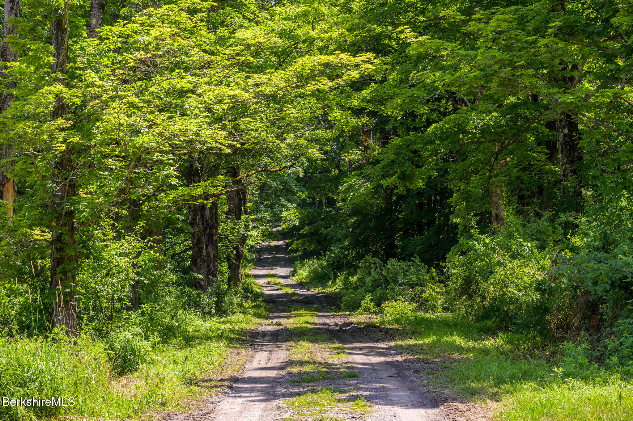 105 Norton Road Canaan, NY 12029 - Photo 7 of 10 a view of yard