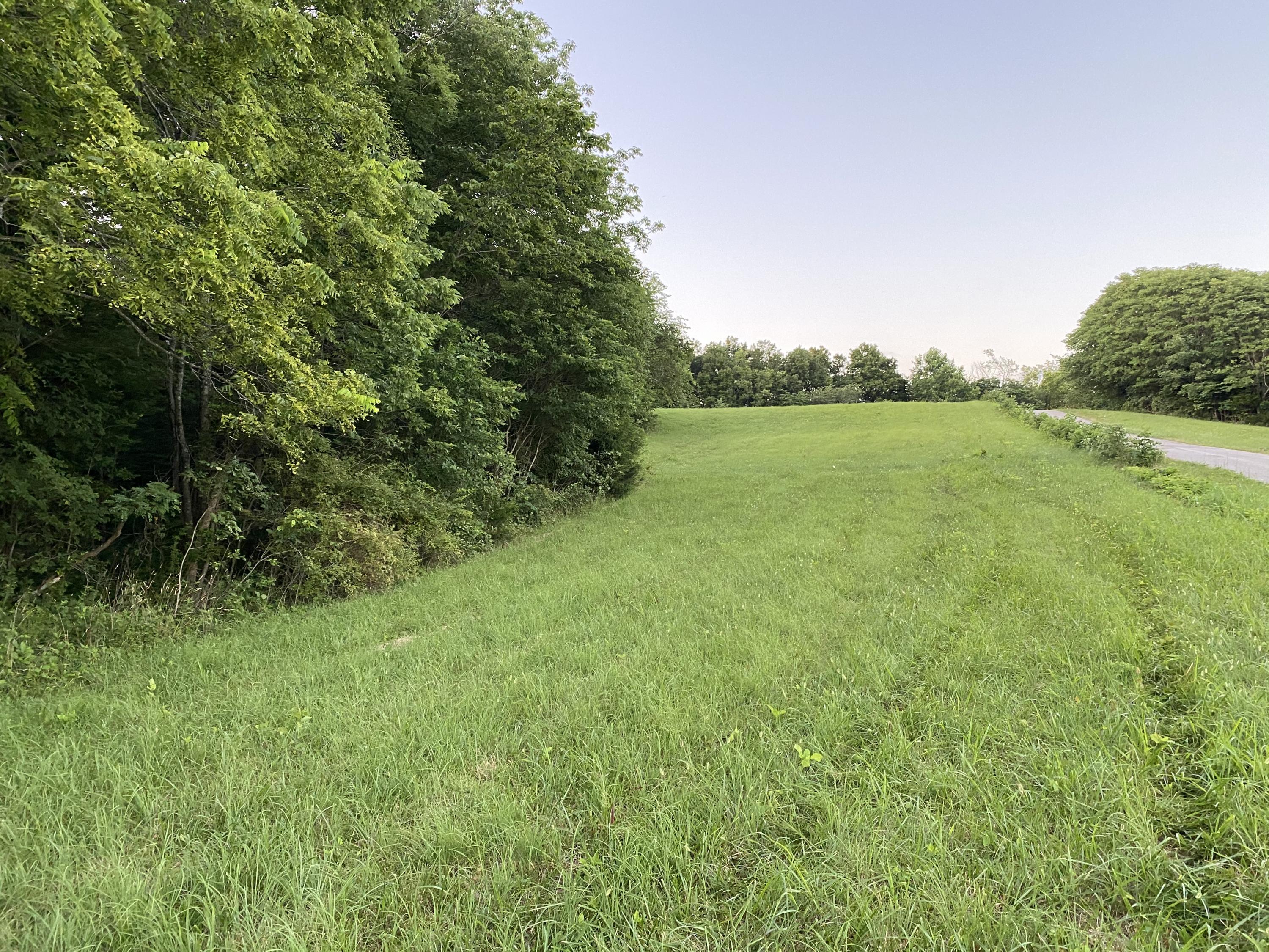 199 Joe Bowles Road Summer Shade, KY 42166 - Photo 4 of 6 Photo Jul 13, 7 58 05 PM