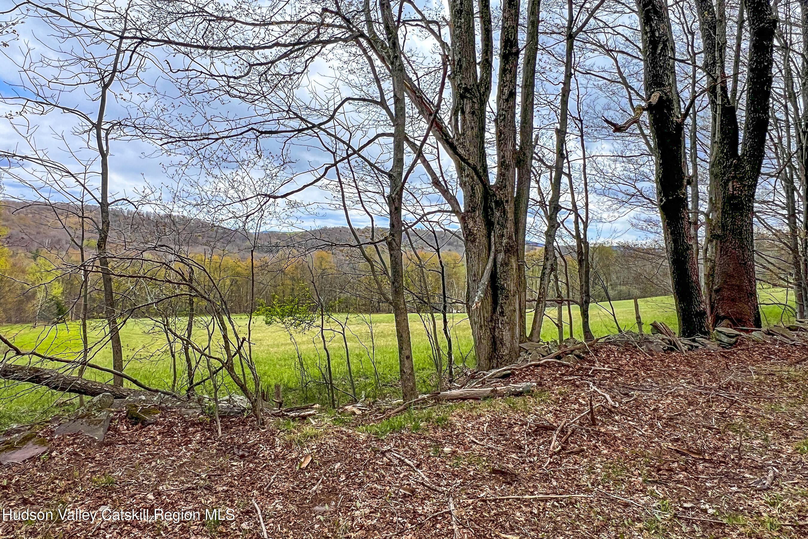 0 Brownell Road Bloomville, NY 13739 - Photo 16 of 39 23 acres Brownell Rd -- 014
