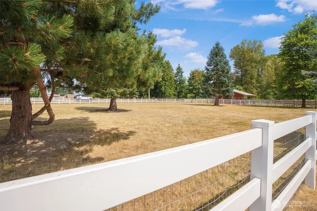 a view of a swimming pool with some plants and large trees