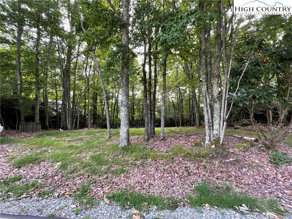 841 Pine Ridge Road Beech Mountain, NC 28604 - Photo 3 of 4