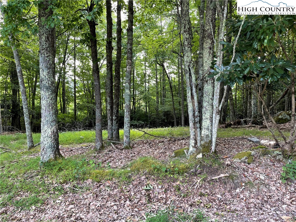 841 Pine Ridge Road Beech Mountain, NC 28604 - Photo 4 of 4