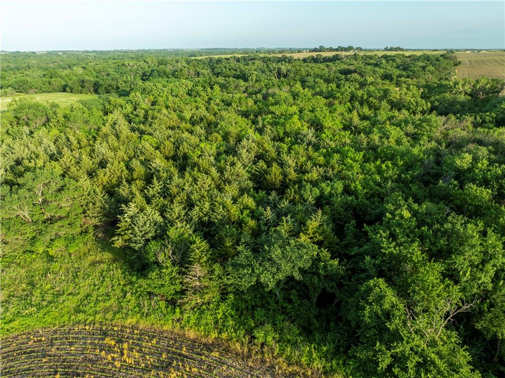 0 142nd Road Meriden, KS 66512 - Photo 4 of 22