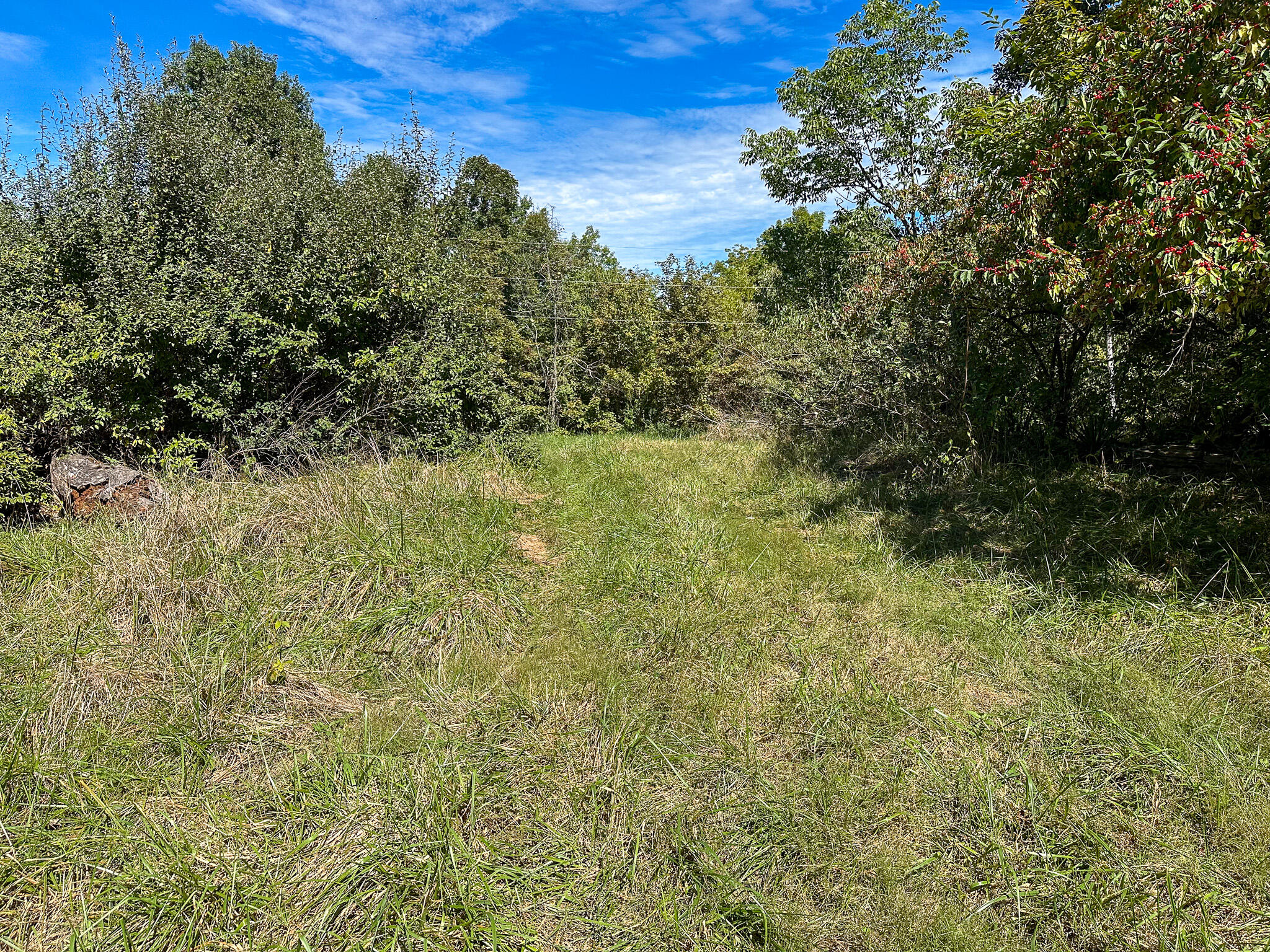 948 Arrowhead Lake Road Corinth, KY 41010 - Photo 27 of 41 Harrison_List 27